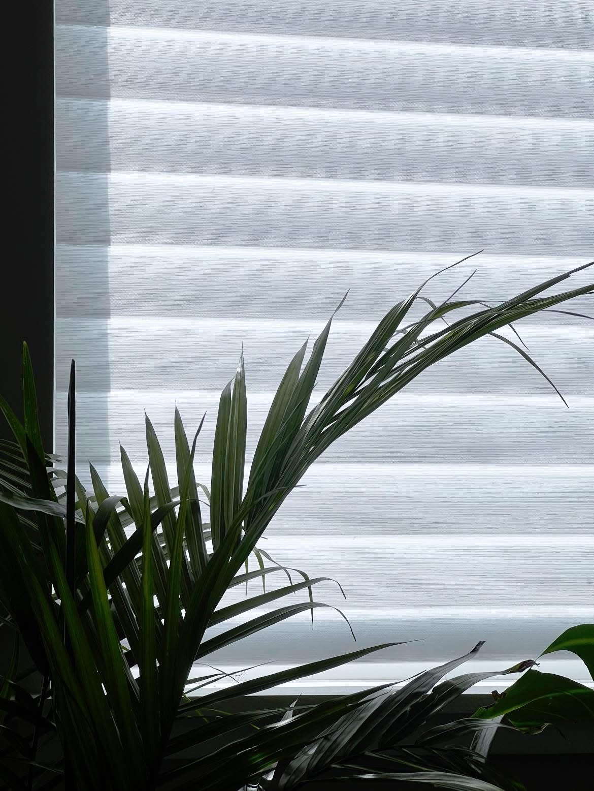 Sheer Shades by Precision Shades